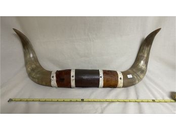 27' Vintage Bull Horns