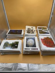Over 250 Photograph Greeting Cards And Envelopes In Plastic
