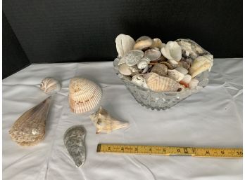 Shells With Crystal Bowl