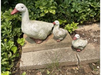 Garden Statuary Ducks