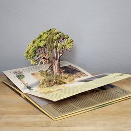 Nature's Savage Cats : A Pop-Up Hardcover Book By Alice Burdett - 1993
