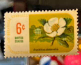 Botanical Congress Stamp 6 Cents  Floral Stamp US