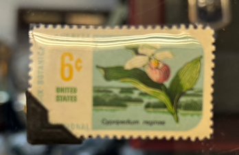 6 Cent Chrysanthamum US Stamp  Floral