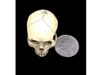 Mini Chinese Antique Skull