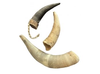 Lot Of 3 Horns
