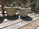 Set Of Four Outdoor Cement Planters