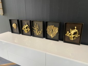 Lot Of 5 Assorted Gold Coral And Reef Shadow Box Art By Michael Aram