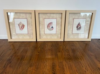 Set Of 3 Nautical Art Prints By Artist Samuel Brookes