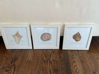 Set Of Three Kolene Spicher Shell Prints