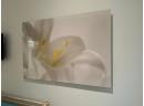 Large Flower Photograph On Lucite