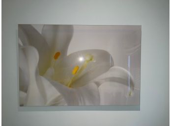 Large Flower Photograph On Lucite
