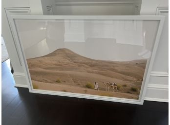 Large Framed Desert Photograph