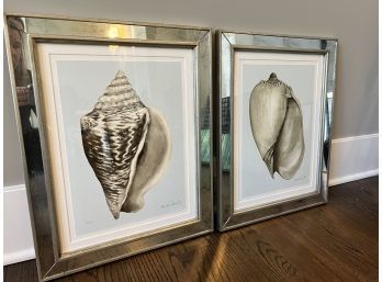 Set Of Mirrored Framed Seashells
