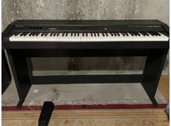 Roland Digital Piano Keyboard RD-300s & Vox Pedal