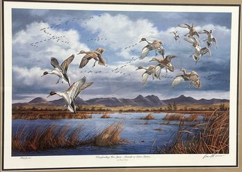 David A. Maass Limited Edition Bird Print 'Waterfowling Hot Spots' - Signed / Numbered