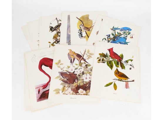 Audubon Birds Of America Print Collection (1960)