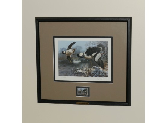 Scot Storm 2006 Ducks Unlimited National Conservation Stamp & Limited Edition Print