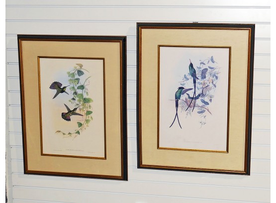 Pair Of Large Framed Bird Prints