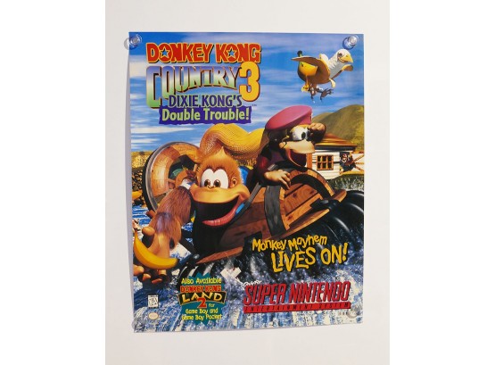1996 Super Nintendo Game Poster - Donkey Kong Country 3