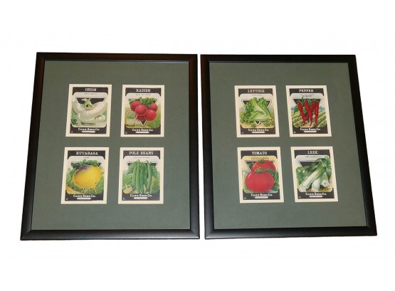 Pair Of Nicely Framed Vintage Lithography Seed Packets (8) - 1930's Seed Card Co Freedonia, NY