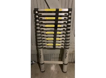Ohuhu Expandable Silver Ladder (extends To 12.5 Feet)
