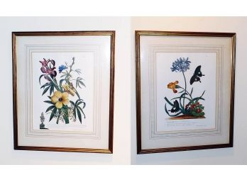 Pair Of Framed Reproduction Floral Prints