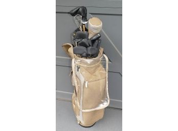 Ladies Golf Club Set - Lady Cobra II Oversize Irons (4 Thru SW) & Wood - With Cobra Bag