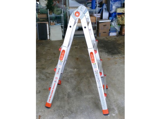 Little Giant Velocity Multi-Position Ladder