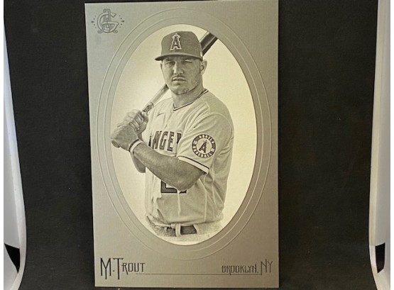 2020 ALLEN & GINTER MIKE TROUT BOX LOADER
