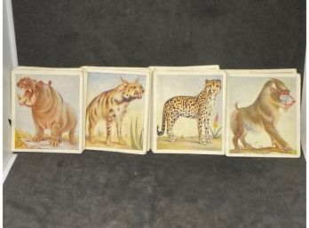 1936 Godfrey Phillips Animal Studies COMPLETE SET OF 30 CARDS!!!
