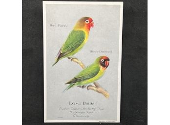 1920s CAPERN'S PERFECTLY CLEAN BLANK BACK - LOVE BIRDS!