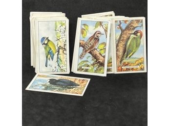 1937 GALLAHER LTD BRITISH BIRDS COMPLETE SET OF 48 CARDS!!