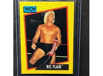 1991 WCW RIC FLAIR!!