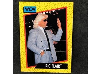 1991 WCW NATURE BOY RIC FLAIR