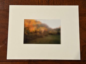 Autumn Sumac By Ellen Phelan SIGNED On The Reverse #E001