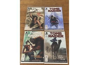 Tomb Raider # 2, 5, 6, 10