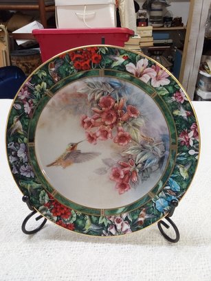 Lena Lin The Allen Hummingbird Collector Plate