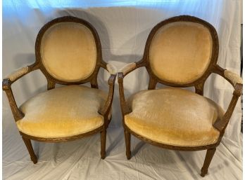 Pair (2) Of Comfy Gold Velvet Oval Back Chairs