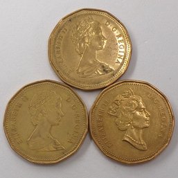 3 Canadian Golden Dollars