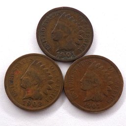 (3) Indian Head Cents 1901, 1902, 1907