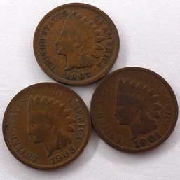 (3) Indian Head Cents 1901, 1903, 1907