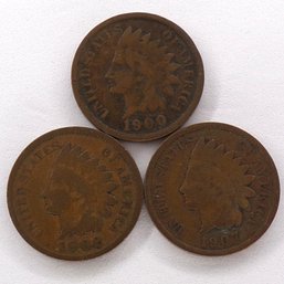 (3) Indian Head Cents 1900, 1902, 1907