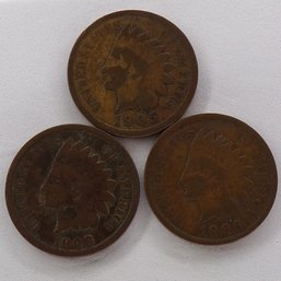 (3) Indian Head Cents 1905, 1906, 1908