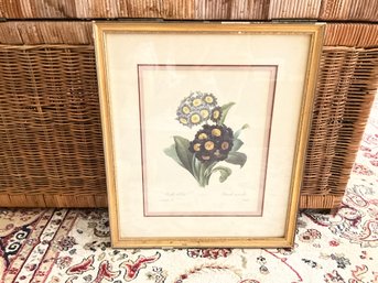 Jane Loudon 'Primrose' Print Matted And Framed