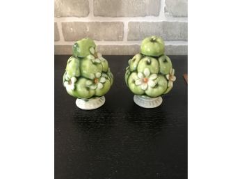 Inarco 1967 Apple Bouquet Salt And Pepper Shakers