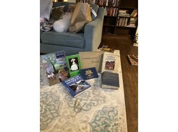 Collectors Lot Of Books Dolls Furniture Village American Antiques