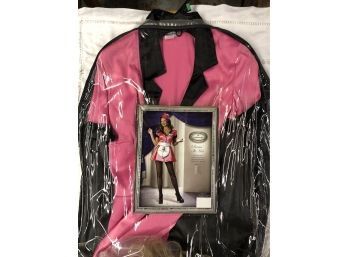 Halloween Costume, Servin It Hot Waitress Size Large, Hot Pink. Apron Has Stains, Hat, 2 Wigs. See All Pics