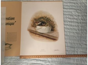 Carolina Wren By Richard Sloan Print Lithograph