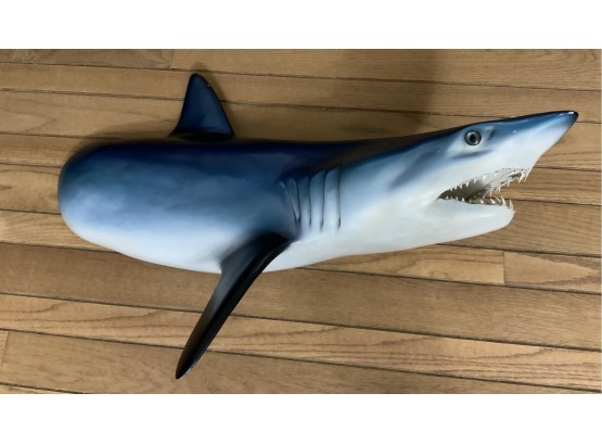 BLUE SHARK MOUNTED  32” LONG
