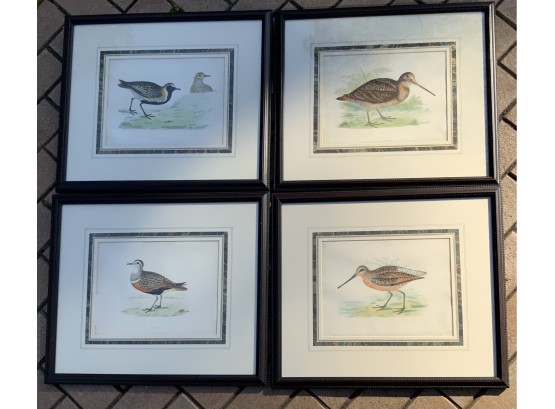 4 BEVERLY MORRIS 1860 HAND COLORED GAME BIRD FRAMED ENGRAVINGS PURCHASED SOTHEBYS 90’s